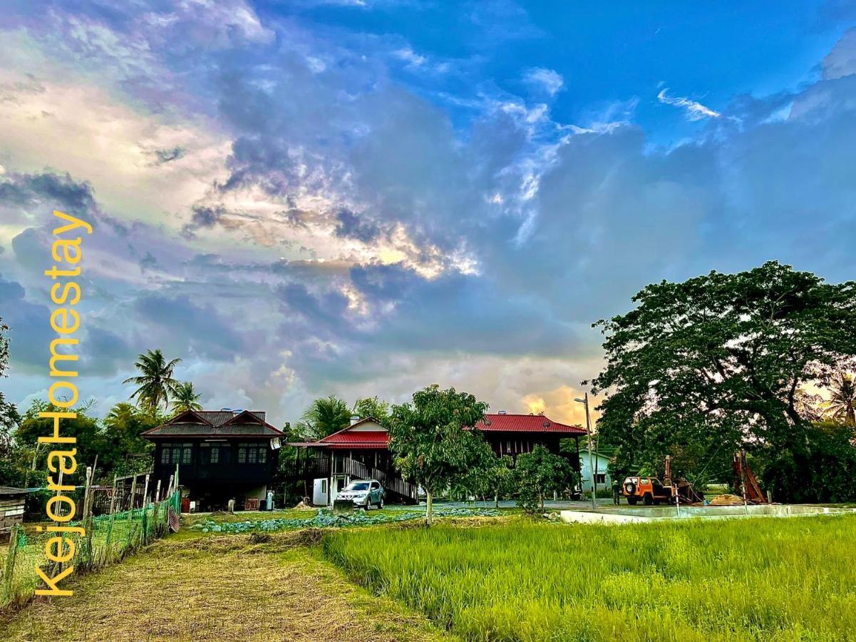 Kejora Homestay Кангар Екстериор снимка